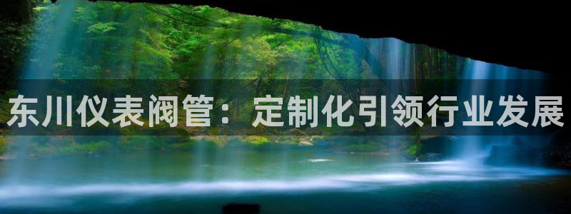 云顶国际百度百科下载