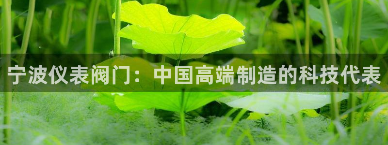 云顶国际服什么时候更新s10的