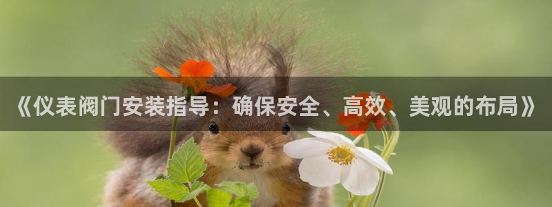 云顶国际官方网站入口