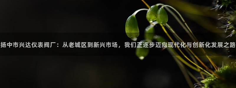 云顶集团网投领跑者