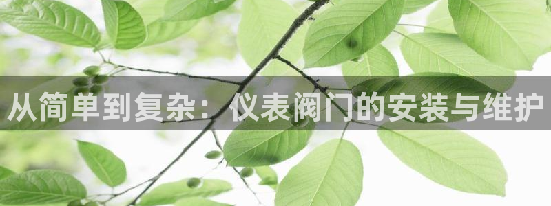 云顶国际酒店老板是谁