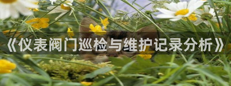 云顶国际广场A座