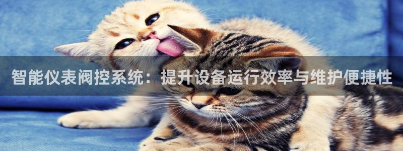 云顶讲解