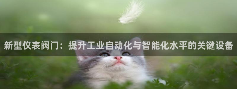 云顶国际高中学费多少钱一年