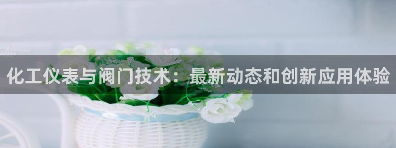 云顶国际服叫啥