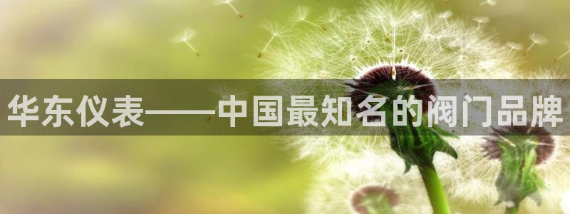 云顶集团有限公司简介