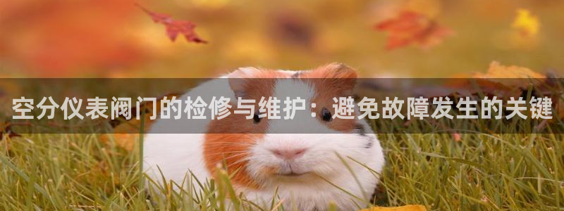 云顶官方下载