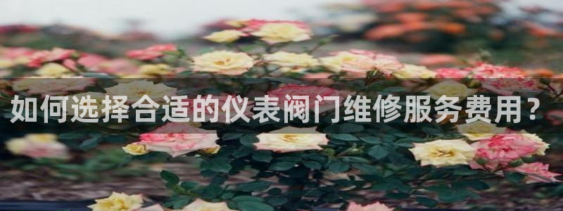 官方云顶国际网站下载