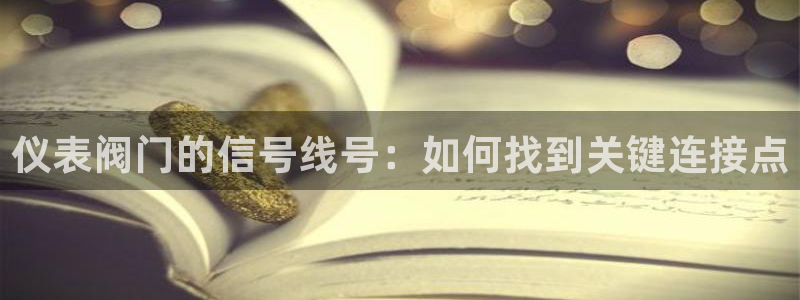 云顶国际城手机网址是什么