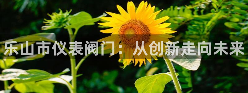 云顶国际官网