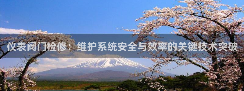云顶国际服什么时候更新s119