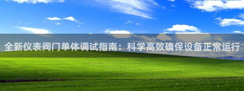 云顶国际邮轮公司