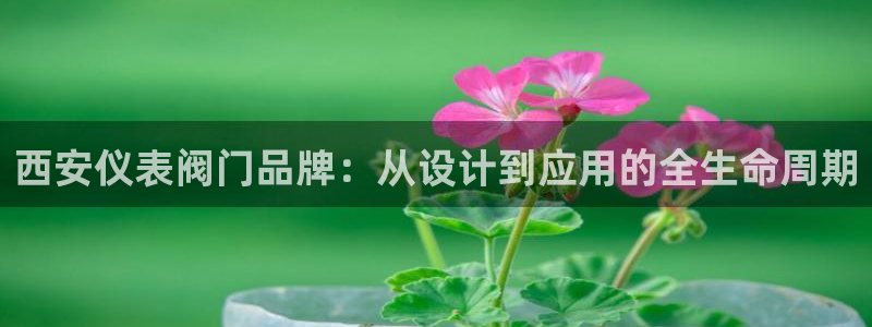 云顶国际装饰设计