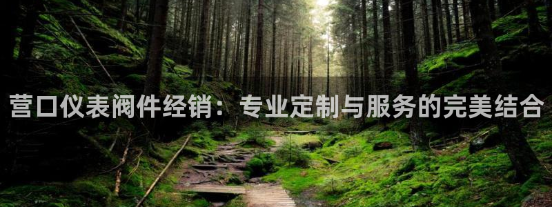 云顶国际酒店老板简介