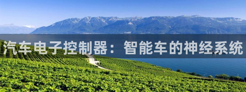 官方云顶国际网站下载