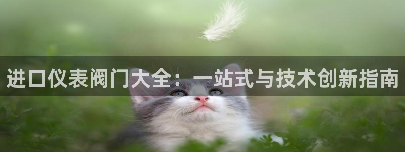 云顶国际酒店老板叫什么