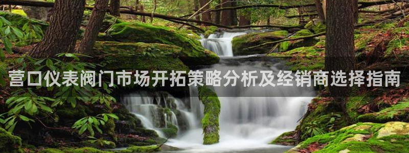 云顶国际集团游戏app
