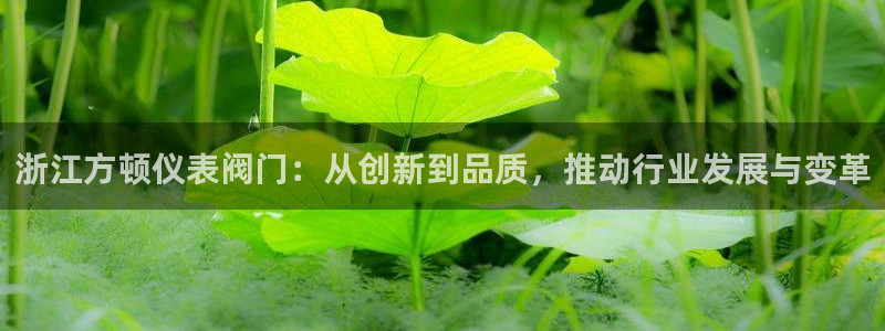 云顶手游国际服账号