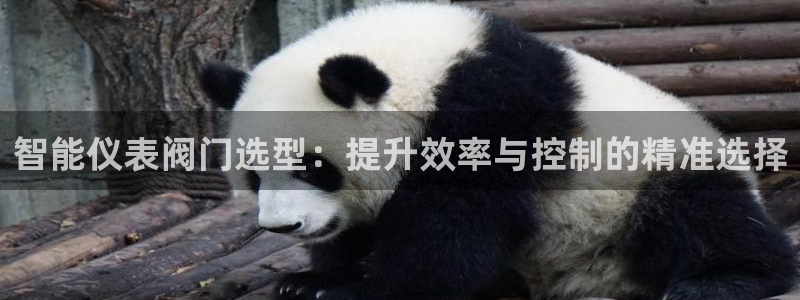 云顶国际app手机版