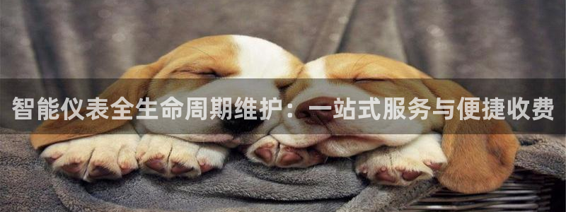 云顶国际不出款