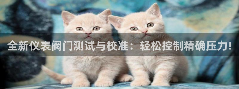 云顶国际公馆物业电话