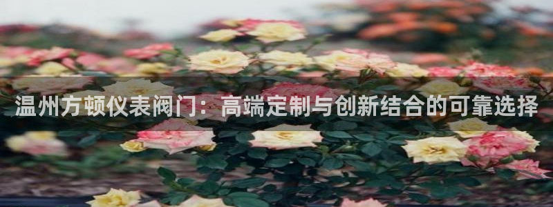 云顶国际游戏平台排行榜