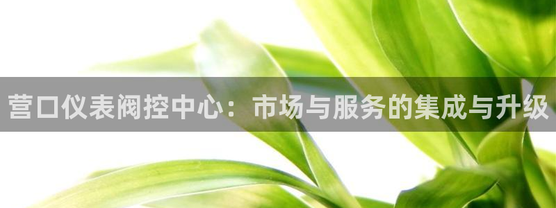 下载云顶国际app