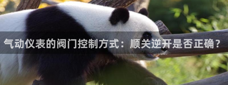 云顶国际服下载