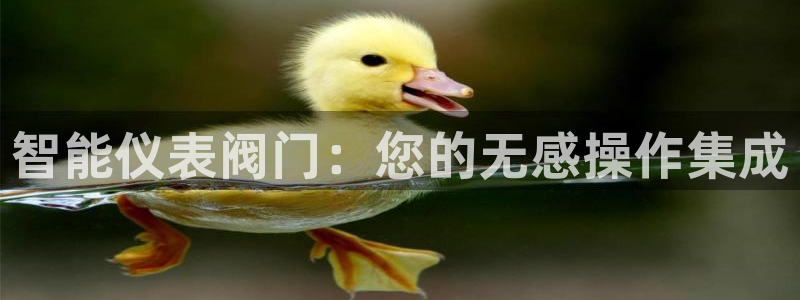 云顶国际酒店位置