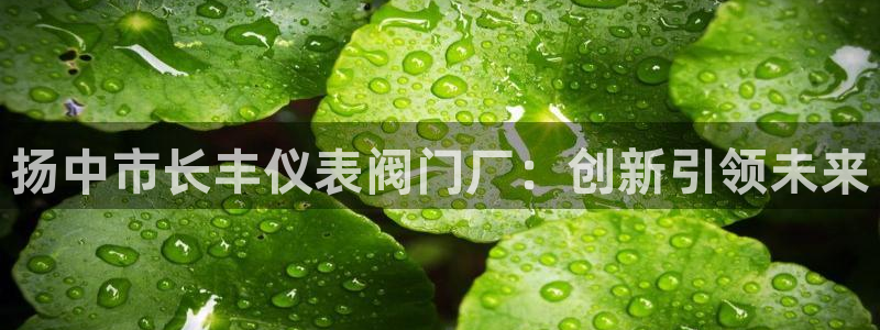 云顶最新