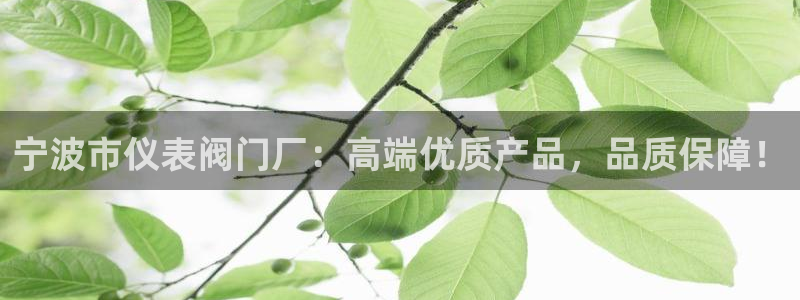 云顶国际nba今日推荐