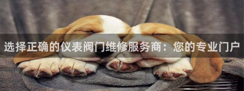 yd2333云顶电子游戏
