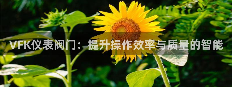 云顶集团注册送28官网