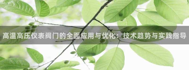 云顶国际集团io