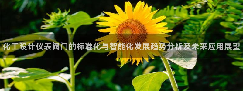 云顶电子游戏平台
