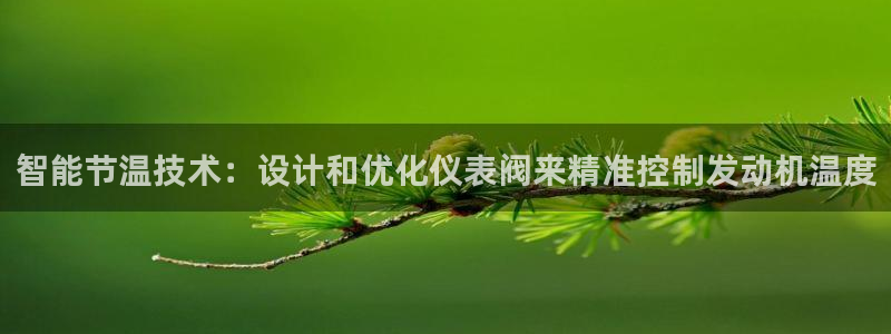 云顶集团有限公司简介