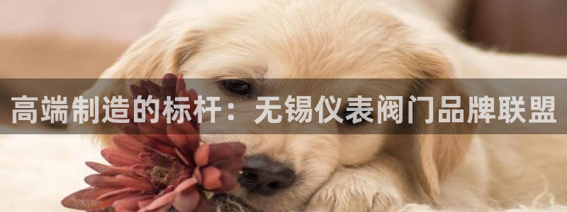 云顶国际在线购彩