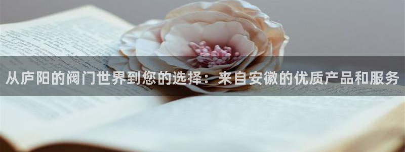 云顶国际服在哪下载