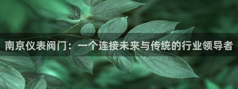 云顶国际服服务端错误