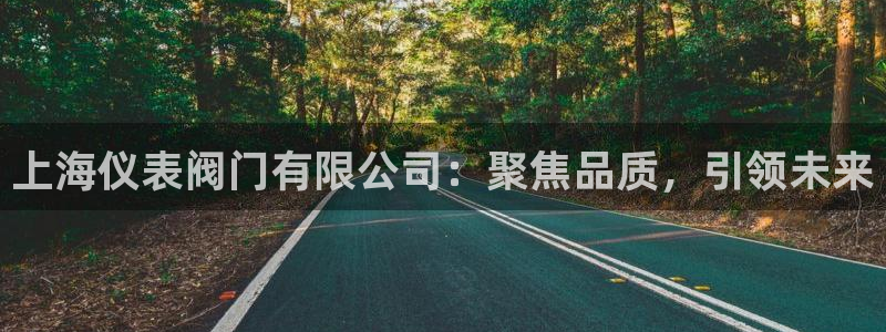云顶国际电子注册平台是什么