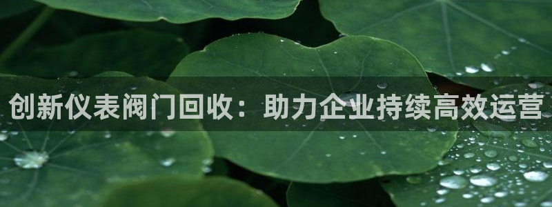 云顶国际集团开发有限公司