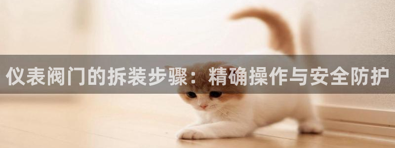 云顶国际官网app下载安卓
