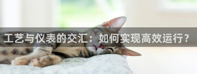 云顶国际商业广场A座101室