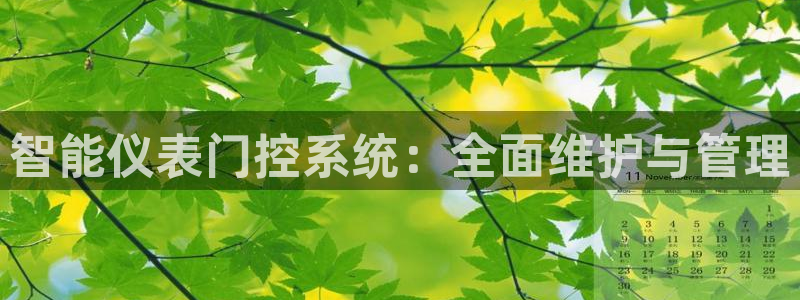 云顶国际服跨区数据