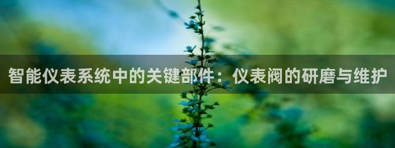 云顶国际App