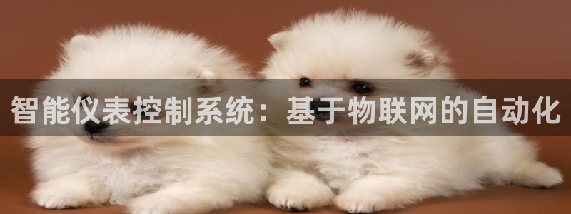 云顶国际百度百科