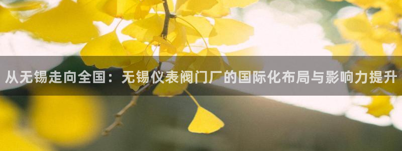 云顶国际服自定义