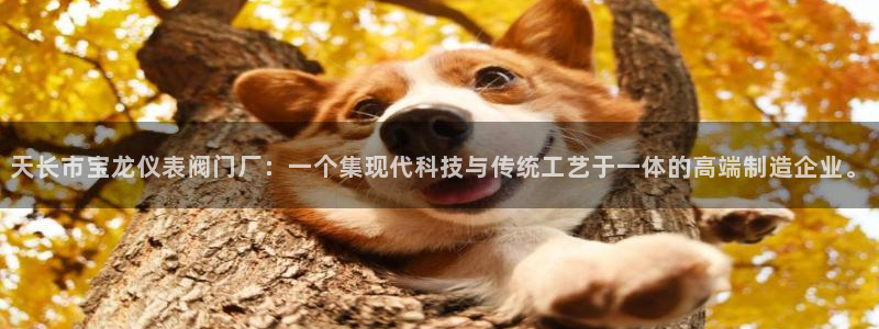 云顶国际晟荣协会高峰