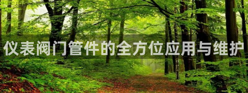 yd云顶国际