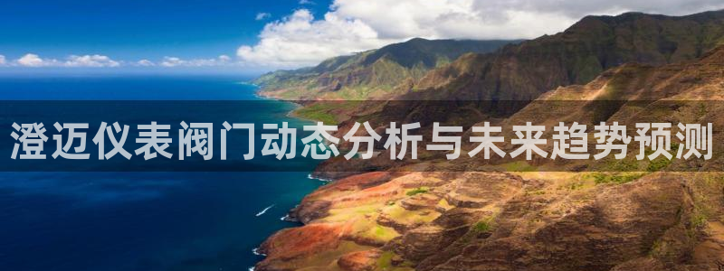 云顶国际大酒店老板